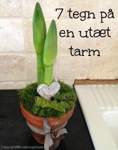 7 tegn på utæt tarm