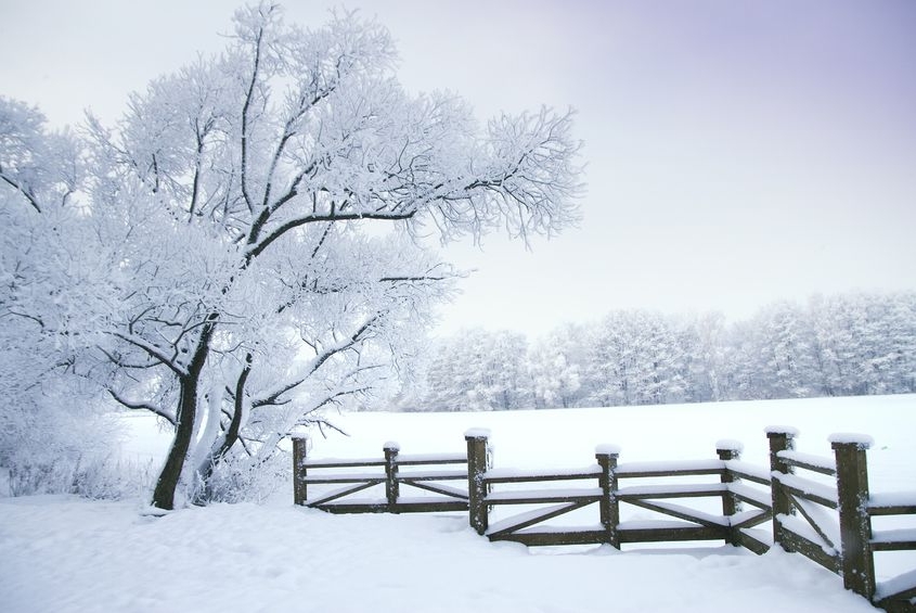 vinter